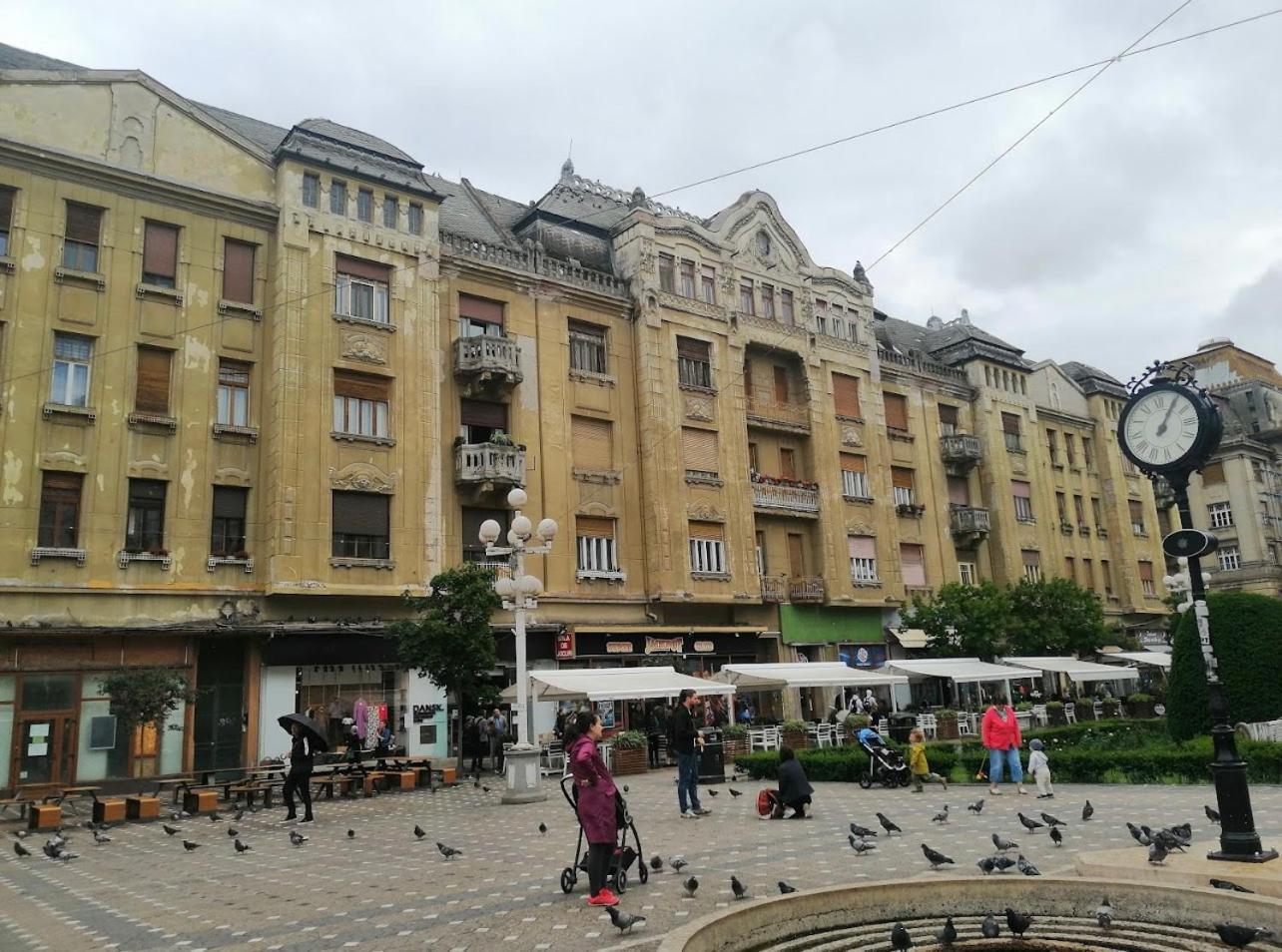 Premium Timisoara Apartment Bagian luar foto